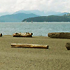 Jericho Beach photo